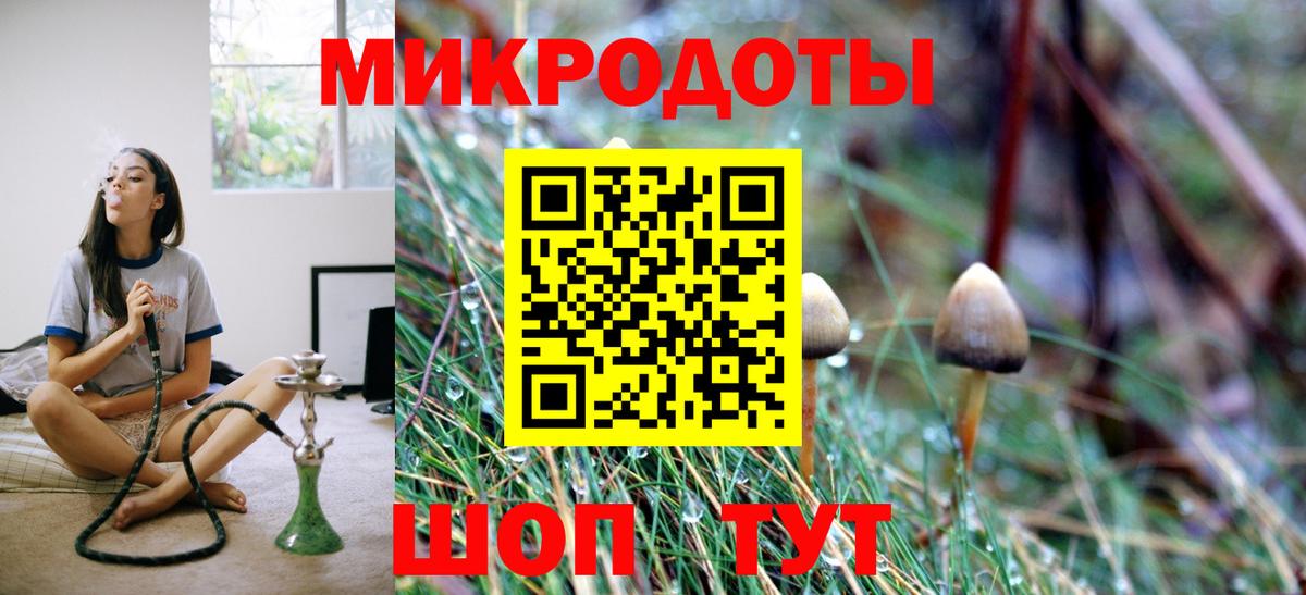 Псилоцибиновые грибы Cubensis Новоуральск