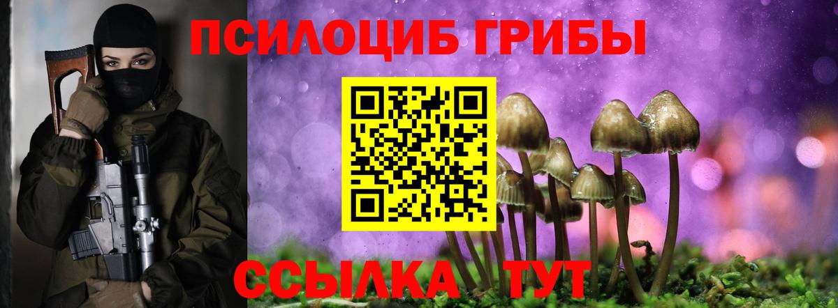 Псилоцибиновые грибы Psilocybe  Галлюциногенные грибы прущие грибы  Вход с VPN  Новоуральск 